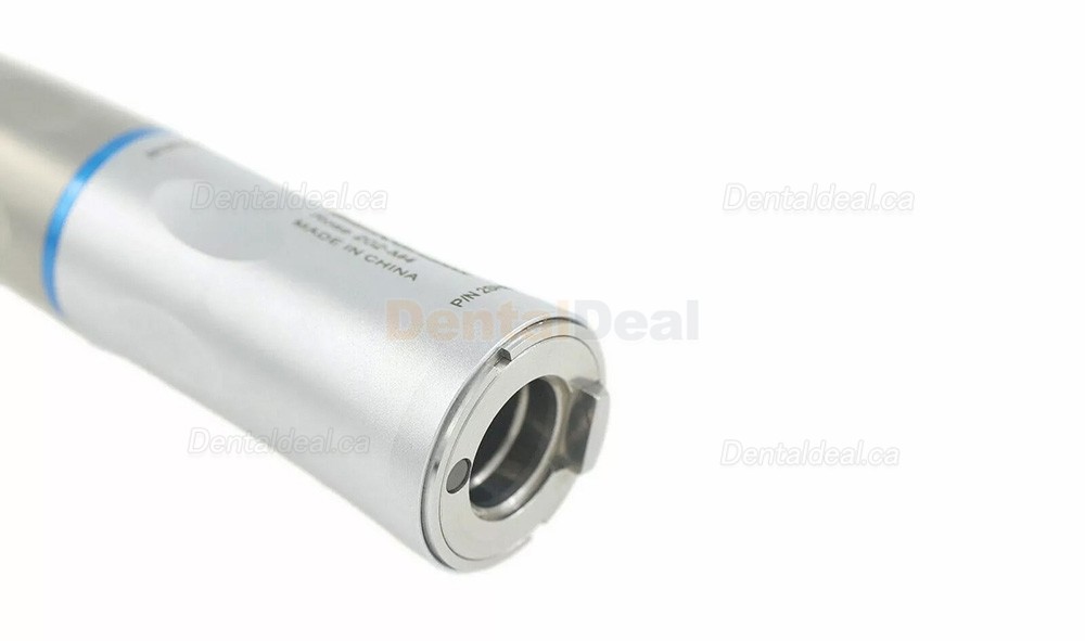 BEING 202SHBW Dental Straight Surgical Handpiece with LED Light